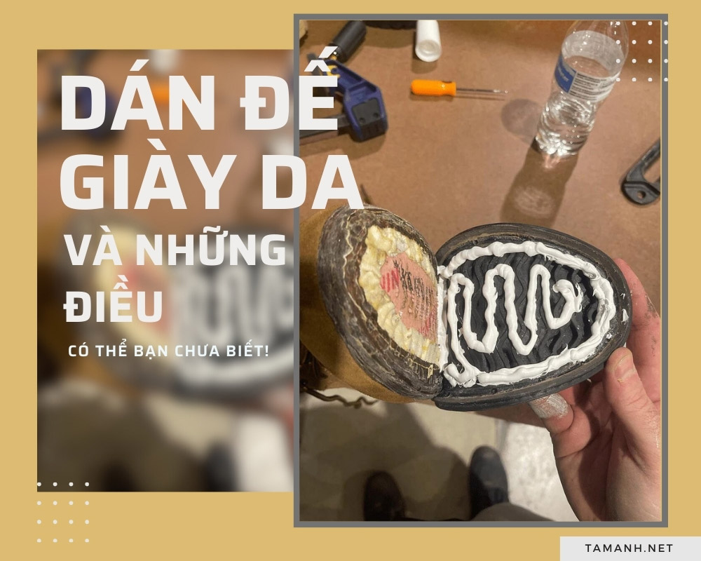 Dán đế giày da và những thông tin có thể bạn chưa biết